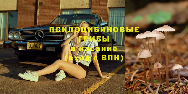mdpv Нягань